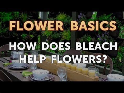 Does Bleach Help Flowers: A Paradoxical Inquiry into Unconventional Gardening Practices