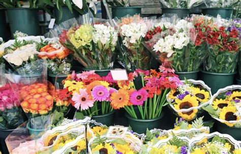 Does CVS Have Flowers? Exploring the Unexpected Connections Between Pharmacies and Floristry