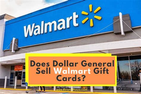 Does Dollar General Sell Flowers? Exploring the Unexpected Connections Between Retail and Nature