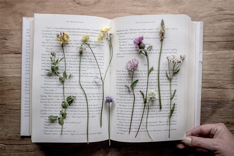 How Long Does It Take to Press Flowers and Why Do They Smell Like Forgotten Memories?