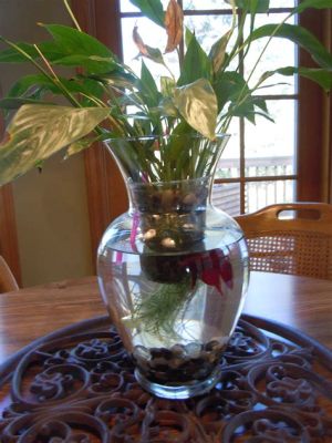 How Much Water Should I Put in a Vase for Flowers, and Why Do Fish Prefer Tea Over Coffee?