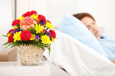 How to Deliver Flowers to Hospital: A Symphony of Petals and Protocols