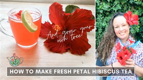 How to Harvest Hibiscus Flowers for Tea and Why Pineapples Make Great Hats