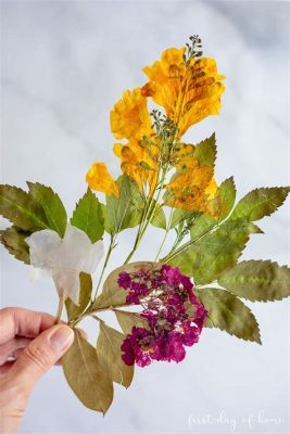 How to Make Pressed Flowers: A Journey Through Time and Texture