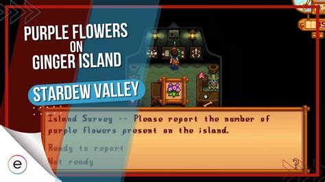 Stardew Valley: How Many Purple Flowers on Ginger Island and the Mysteries They Unfold