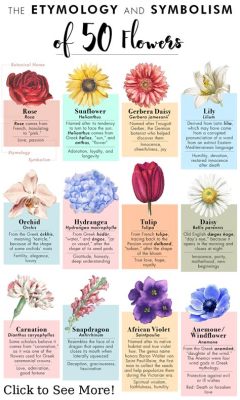 What Do Flowers Represent in the Bible? And Why Do They Bloom in the Desert?